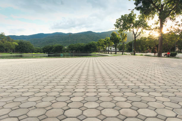Best Best Driveway Pavers  in Lake Camelot, WI