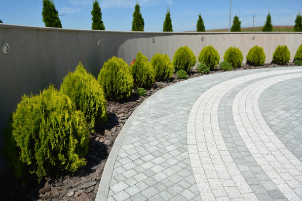 Best Driveway Repair Near Me  in Lake Camelot, WI